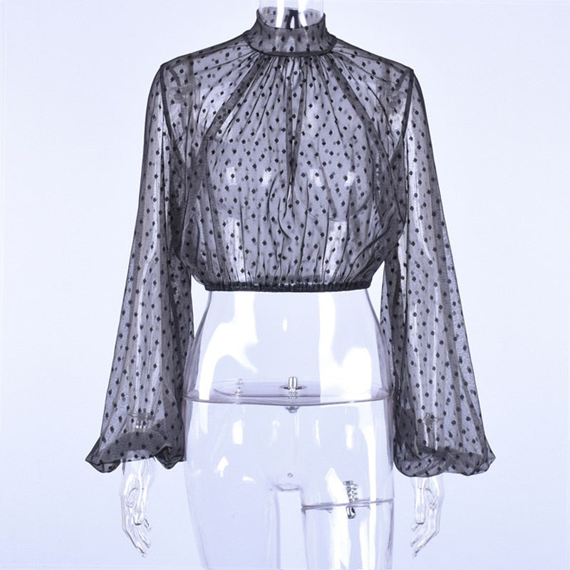 neatly Women Mesh Shirt  Long Sleeve Blouses