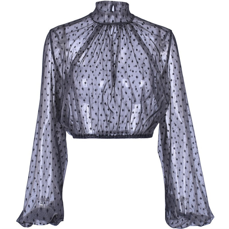 neatly Women Mesh Shirt  Long Sleeve Blouses