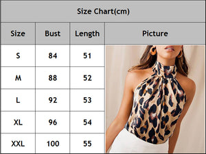 Off Shoulder Leopard Blouse Chiffon Women Tops